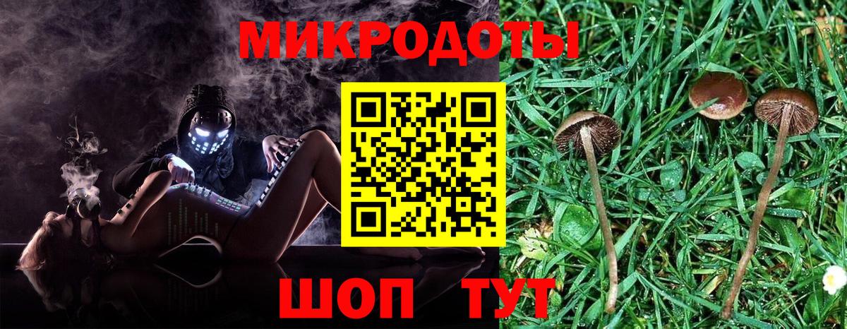 Нефтекумск  Псилоцибиновые грибы мицелий  Вход с VPN 